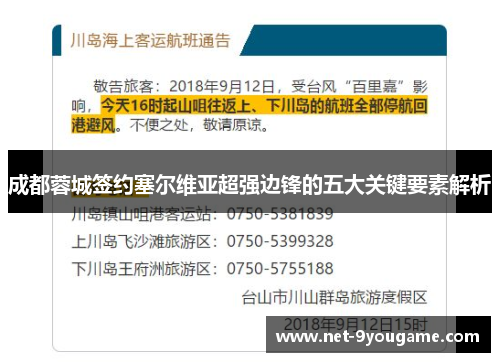 成都蓉城签约塞尔维亚超强边锋的五大关键要素解析