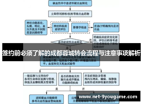 签约前必须了解的成都蓉城转会流程与注意事项解析