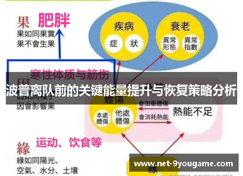 波普离队前的关键能量提升与恢复策略分析