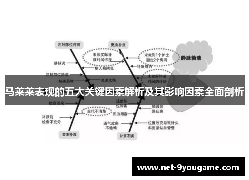 马莱莱表现的五大关键因素解析及其影响因素全面剖析